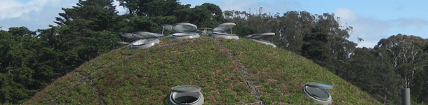 California Academy of Sciences by Renzo Piano